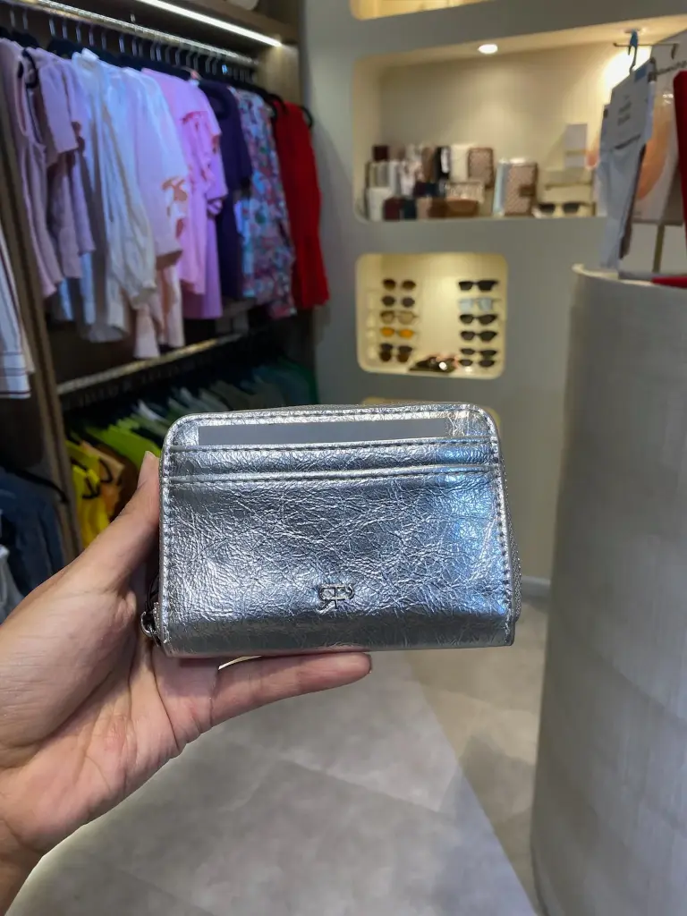 MONEDERO TARJETERO PLATA